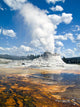 Castle Geyser Yellowstone Wall Mural