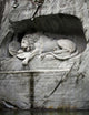 Lion of Lucerne, Switzerland Wall Mural