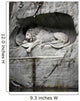 Lion of Lucerne, Switzerland Wall Mural