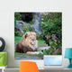 Majestic Lion Wall Mural