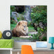 Majestic Lion Wall Mural
