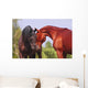 Two Horses Communicating Wall Mural
