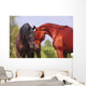 Two Horses Communicating Wall Mural