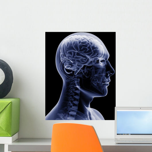 man x-ray Wall Mural