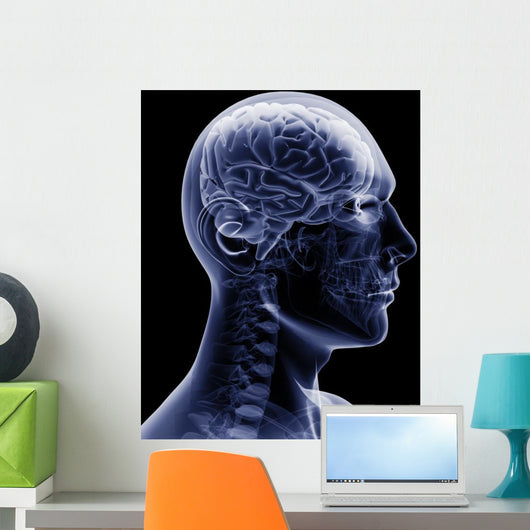 man x-ray Wall Mural