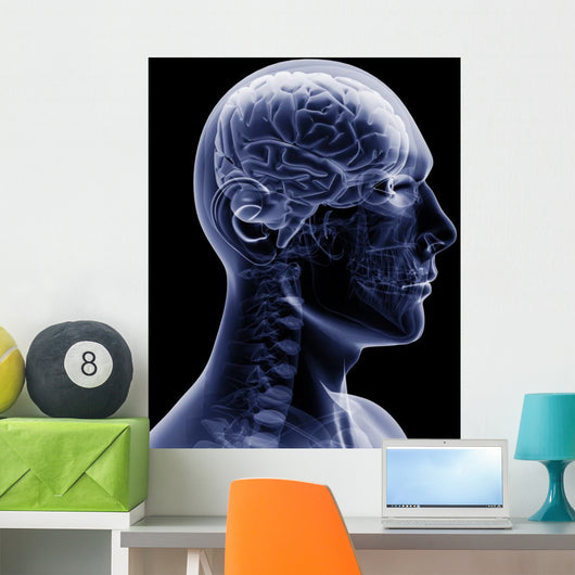 man x-ray Wall Mural