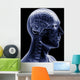 man x-ray Wall Mural