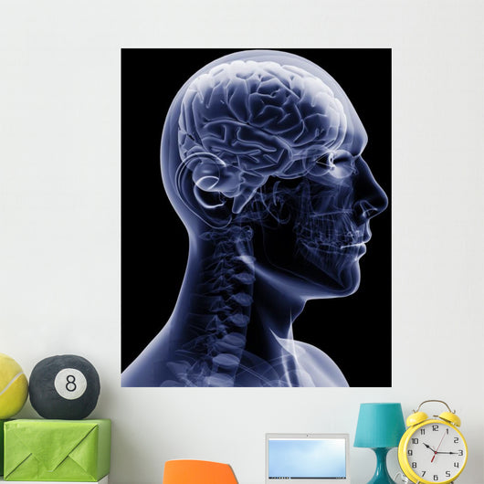 man x-ray Wall Mural