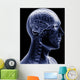 man x-ray Wall Mural