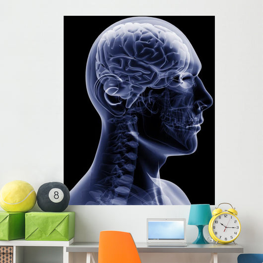 man x-ray Wall Mural