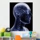 man x-ray Wall Mural