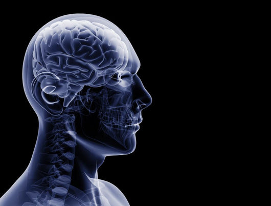 man x-ray Wall Mural