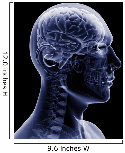 man x-ray Wall Mural