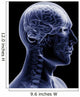 man x-ray Wall Mural
