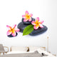 Zen Pebble Plumeria Wall Decal