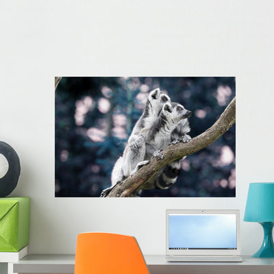 Lemur Wall Mural shown on a wall