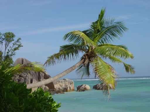 Beach Seychelles Wall Decal