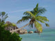 Beach Seychelles Wall Decal