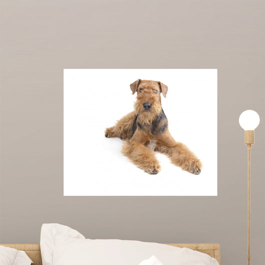 Airedale Wall Decal