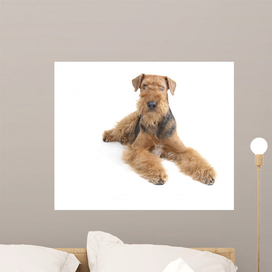 Airedale Wall Decal
