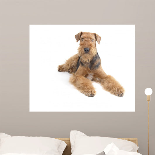 Airedale Wall Decal