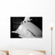 The Belly of Happiness Wall Mural