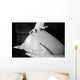 The Belly of Happiness Wall Mural