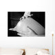 The Belly of Happiness Wall Mural