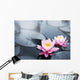 Lotus blossoms Wall Mural