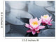 Lotus blossoms Wall Mural
