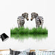 Zebra With Green Grass Isolated Wall Decal