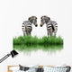 Zebra With Green Grass Isolated Wall Decal