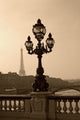 Vintage Lamppost on the Bridge of Alexandre Wall Mural