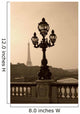 Vintage Lamppost on the Bridge of Alexandre Wall Mural