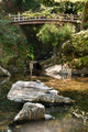 Japanese Ornamental Pond with