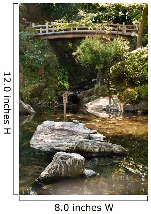 Japanese Ornamental Pond with