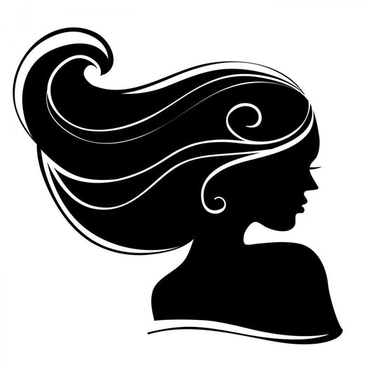 Beautiful Woman Silhouette