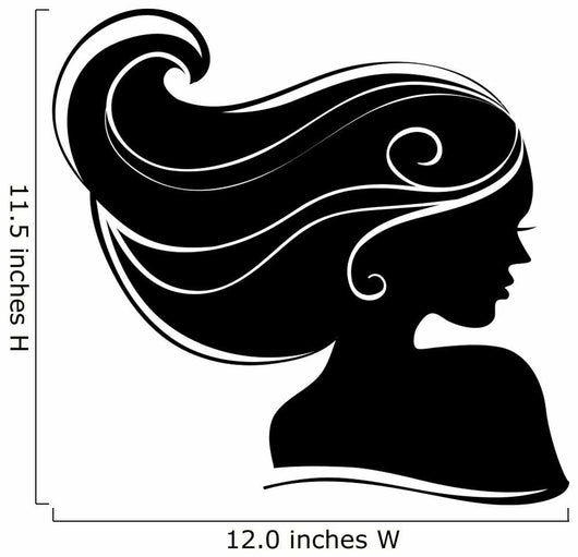 Beautiful Woman Silhouette
