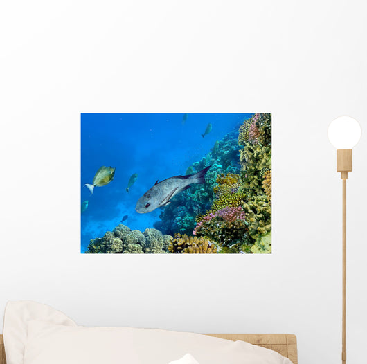 Landscape under Water