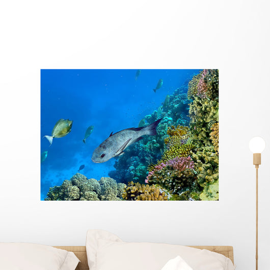 Landscape under Water