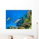 Landscape under Water