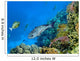 Landscape under Water
