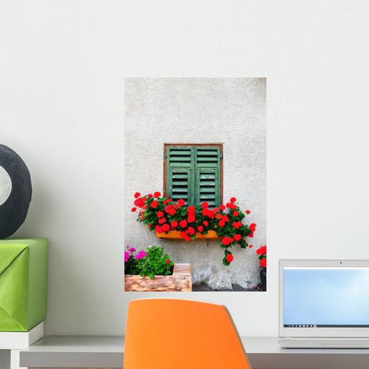 Window Wall Mural