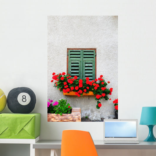 Window Wall Mural