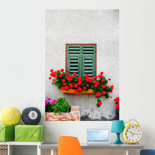 Window Wall Mural