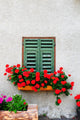 Window Wall Mural
