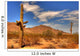 desert saguaro 34 Wall Mural