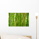 Bamboo Stalks Wall Decal