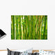 bamboo stalks Wall Mural