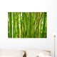 Bamboo Stalks Wall Decal